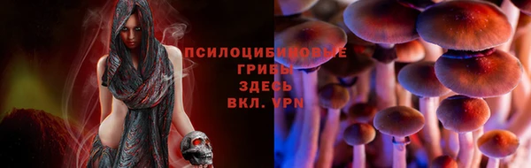 mdpv Заволжск