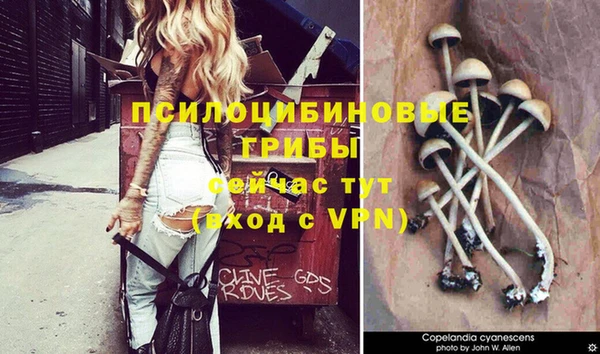mdpv Заволжск