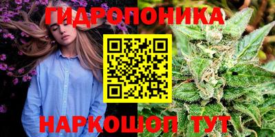 spice Волжск