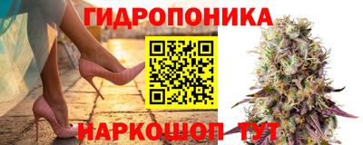 spice Волжск
