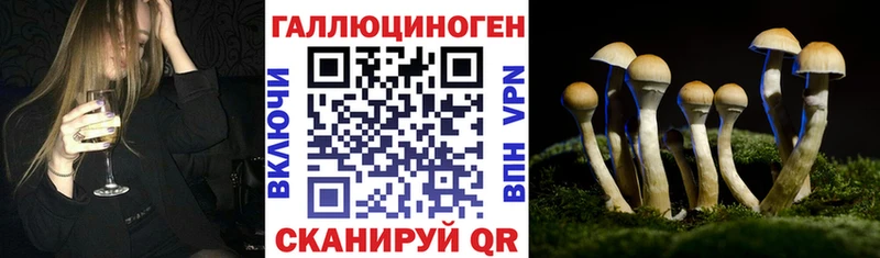 где продают   ОМГ ОМГ ссылки  Галлюциногенные грибы Cubensis  Еманжелинск 