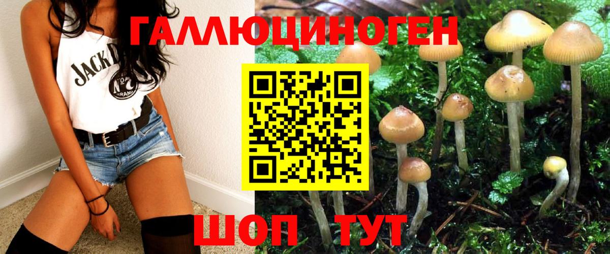 Галлюциногенные грибы мицелий  Вход с VPN  Еманжелинск  Галлюциногенные грибы GOLDEN TEACHER 