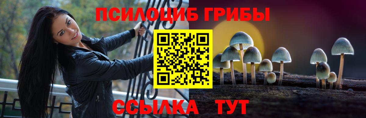 Псилоцибиновые грибы Psilocybine cubensis Еманжелинск